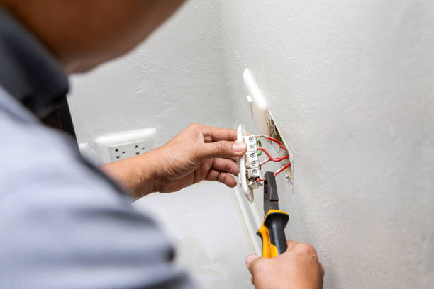 Best Electric Panel Repair  in Eutaw, AL